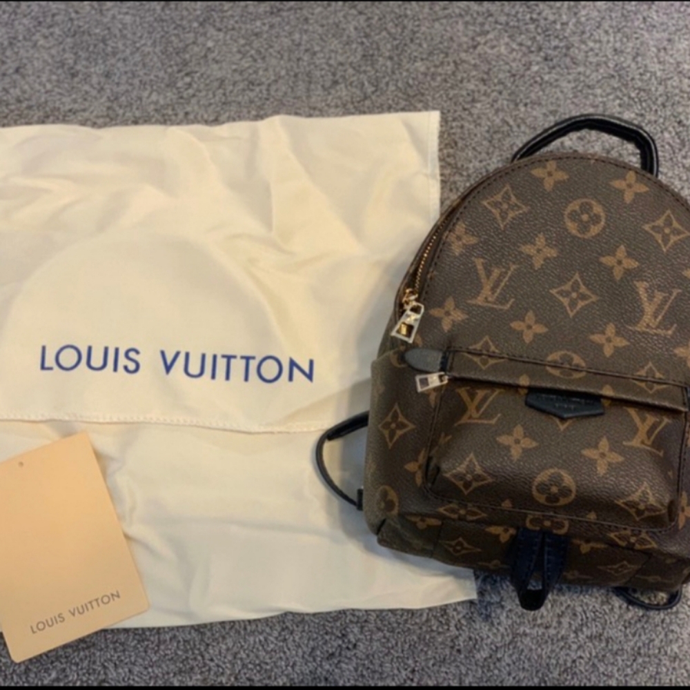 Louis vuitton mini palmspring backpack